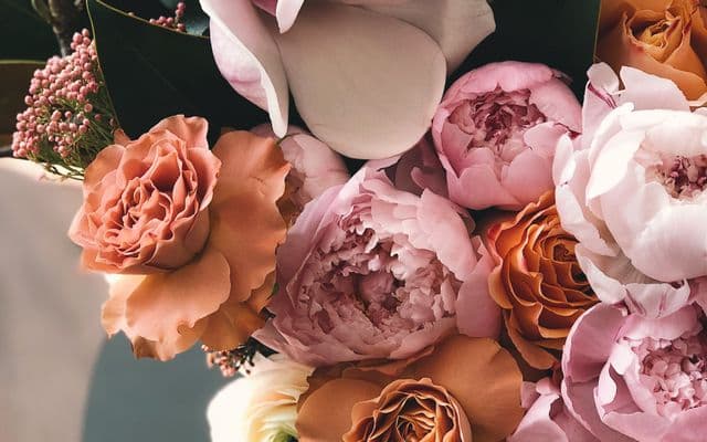Example of consistent weekly Instagram posts for a local flower shop improving local search visibility